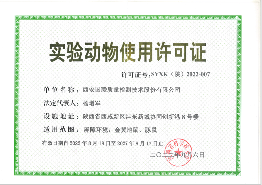 尝试动物--金黄地鼠、豚鼠